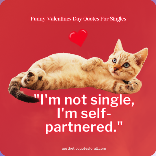 Funny Valentines Day Quotes For Singles