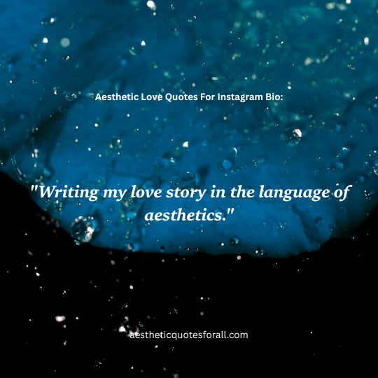 Aesthetic Love Quotes For Instagram Bio