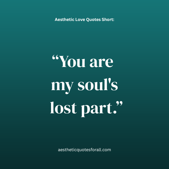 aesthetic love quotes short