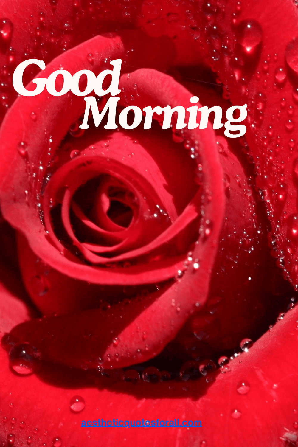 Good morning Texts to boyfriend wake up