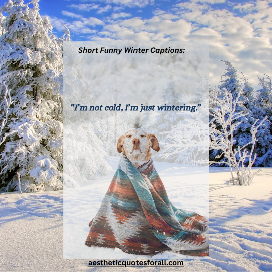 Short Funny Winter Captions