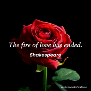 Shakespeare quotes