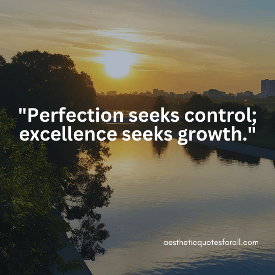 Quotes About Perfection and Excellence