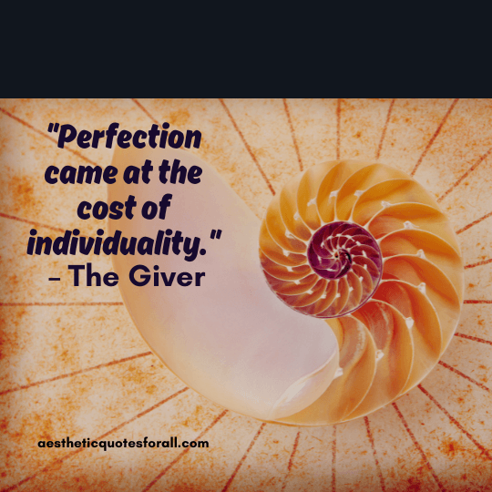 Quotes About Perfection in The Giver