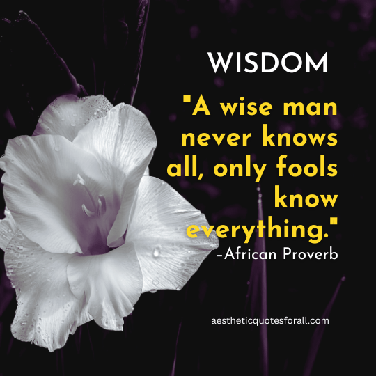 Powerful Wisdom Quotes About Life
